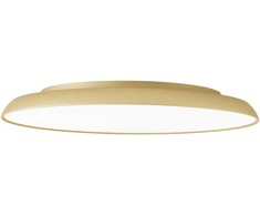 21W LED paviršinis lubinis šviestuvas ART, šampano sp., 3000K, 4303500