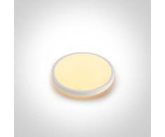 Lubinis šviestuvas 22+3W LED paviršinis šviestuvas, baltos sp., 2700/3200/4000K, 300mm, šviečia į viršų ir į apačią, 62002A/W/V
