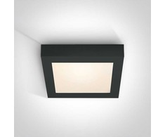 Lubinis šviestuvas 22W LED plafonas, juodas, 3000K, 62122F/B/W