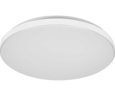 24W LED paviršinis šviestuvas ESSENTIAL ORBIS, baltas, 3000K, IP44
