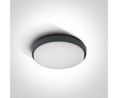 25W LED plafonas, antracito sp., 3000K, 67362/AN/W