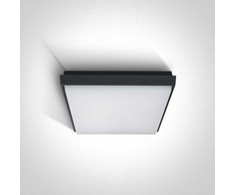 25W LED plafonas, antracito sp., 3000K, 67362A/AN/W