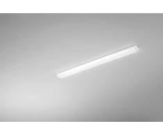 27W LED linijinis spintelės šviestuvas REGGY, baltas, CCT, IP44