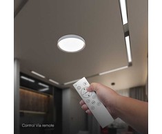 Lubinis šviestuvas 30/60W LED paviršinis šviestuvas, rudos sp., 3000-6500K, dimeriuojamas