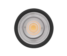 Ledvance 30W LED paviršinis lauko šviestuvas, juodas, 3000K, IP65, 60°