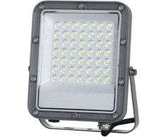 30W LED prožektorius TIMBO, pilkas, 4000K