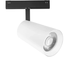 30W LED šviestuvas, montuojamas į DAVINCI sistemą, baltas, 3000K