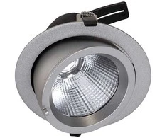 32W LED įleidžiamas šviestuvas BALUUM, sidabro sp., 3000K