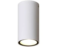 3W LED paviršinis fasado šviestuvas FANO 3K, baltas, 3000K