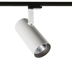 40W LED akcentinis vienfazis šviestuvas RUSSO L, baltos/pilkos sp., 4000K