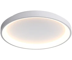 40W LED lubinis šviestuvas RADEN, baltas, 3000/4000/6000K
