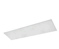 40W LED panelė MASTER, balta, 4000K, 30x120cm