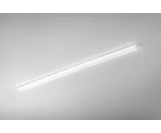 45W LED linijinis spintelės šviestuvas REGGY, baltas, CCT, IP44