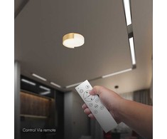 48W LED lubinis šviestuvas, aukso sp., 3000/4000/6000K, dimeriuojamas