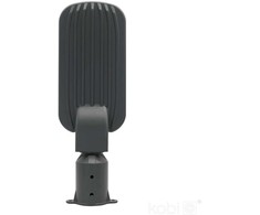 50W LED gatvės šviestuvas BRELUXO, pilkas, 4000K, IP65