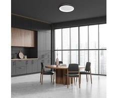 50W LED lubinis šviestuvas RADEN, juodos/baltos sp., 3000/4000/6000K