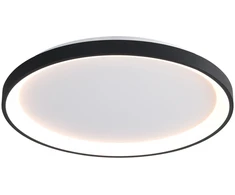 50W LED lubinis šviestuvas RADEN, juodos/baltos sp., 3000/4000/6000K