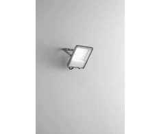 50W LED prožektorius ESUS, sidabro sp., CCT, IP65