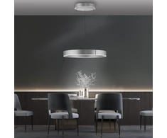 53W LED pakabinamas šviestuvas E-CLIPSE, aliuminio sp., 2700-5000K, dimeriuojamas, 70cm, reguliuojamo aukščio