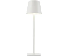 5W LED įkraunamas stalo šviestuvas ATLIS, baltas, 3000/6500K, IP54, su USB jungtimi