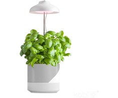 5W LED stalo šviestuvas augalų auginimui VERDI, baltas, 3200K