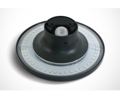 7W sieninis šviestuvas, antracito spalvos, IP54, 3000K, 67450/AN/W