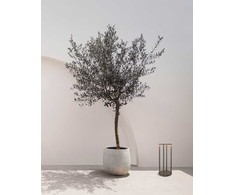 9,2W LED pastatomas lauko šviestuvas, tamsiai pilkas, 3000K, IP65, E444