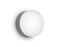 Sieninis šviestuvas Ceiling lamp with 1 light URANO, GX53, antracite