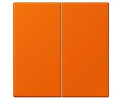 Klavišas dvigubo jungiklio, oranžinis