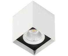 Lubinis šviestuvas 12W LED paviršinis šviestuvas ALDEN, baltos/juodos sp., 4000K