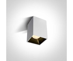 Lubinis šviestuvas 12W LED paviršinis šviestuvas, baltas, 3000K, 12112ZA/W/W