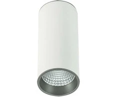 Lubinis šviestuvas Netlighting 12W LED paviršinis šviestuvas MOLDES BIG, baltos/pilkos sp., 4000K
