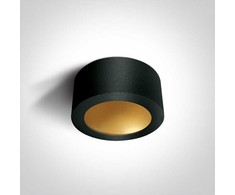 Lubinis šviestuvas 16W LED paviršinis šviestuvas, juodos/žalvario sp., 3000K, 12116FD/B/BS