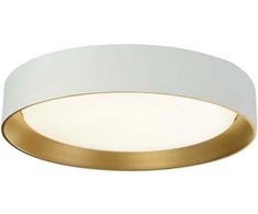 Lubinis šviestuvas 24W LED paviršinis šviestuvas SPIRITED, baltos/aukso sp., 3000K, 4271100