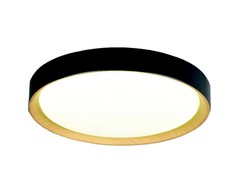 Lubinis šviestuvas 24W LED paviršinis šviestuvas SPIRITED, juodos/aukso sp., 3000K, 4271101