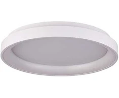 Lubinis šviestuvas Italux 38W LED paviršinis šviestuvas VICO, baltas, 3000/4000K