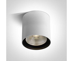 Lubinis šviestuvas 40W paviršinis šviestuvas, baltas, 3000K, 67516C/W/W
