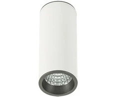 Lubinis šviestuvas 7W LED paviršinis šviestuvas MOLDES MEDIUM, baltos/pilkos sp., 4000K