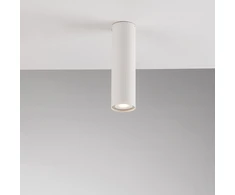Lubinis šviestuvas FLUKE, baltas, 1xGU10