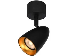 Italux Lubinis šviestuvas Tino SPL-36748-1R-BK-GD