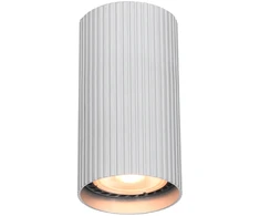 Italux Lubinis šviestuvas Rilok CLN-83920-S-ALU