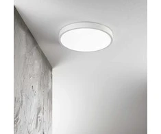 Lubinis šviestuvas Ideal Lux 26W LED plafonas RAY, baltas, 3000/4000K, IP44, 318264
