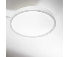 Lubinis šviestuvas Ideal Lux 26W LED plafonas RAY, baltas, 3000/4000K, IP44, 318264