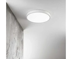 Lubinis šviestuvas Ideal Lux 44W LED plafonas RAY, baltas, 3000/4000K, IP44, 327693