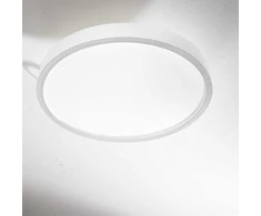 Lubinis šviestuvas Ideal Lux 44W LED plafonas RAY, baltas, 3000/4000K, IP44, 327693