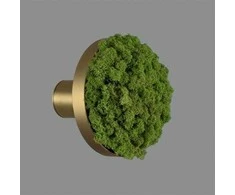 Sieninis šviestuvas Sieninio šviestuvo CHAMALEON diskas, šviesiai žalias, 145mm, K0003140VEC