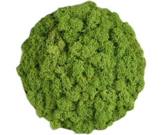 Sieninis šviestuvas Sieninio šviestuvo CHAMALEON diskas, šviesiai žalias, 145mm, K0003140VEC