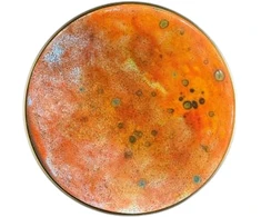 Sieninis šviestuvas Bikuva.lt Sieninio šviestuvo CHAMALEON diskas, oranžinės sp., 14,5cm, K0003440NA