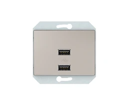 USB lizdas XP 500, 2 vietų, be rėmelio, šampano sp.