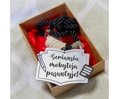 Automobilio kvapukas "Geriausia mokytoja pasaulyje!"